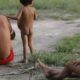 forcas-armadas-levarao-15-mil-cestas-de-alimentos-aos-yanomami