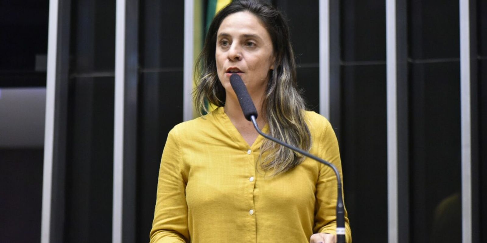 conselho-de-etica-da-camara-arquiva-acao-contra-fernanda-melchionna