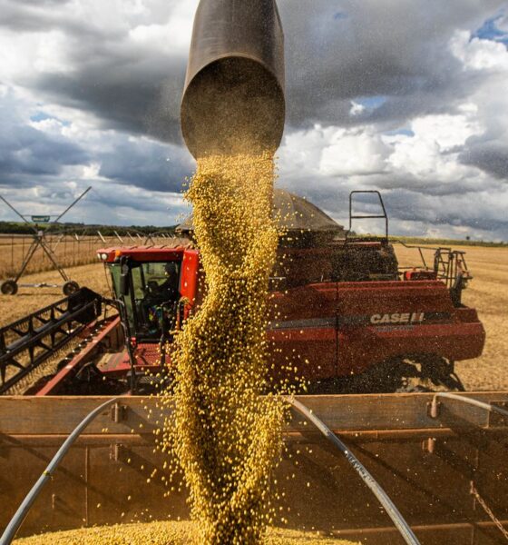 alckmin-comemora-dados-de-producao-agroindustrial-em-abril